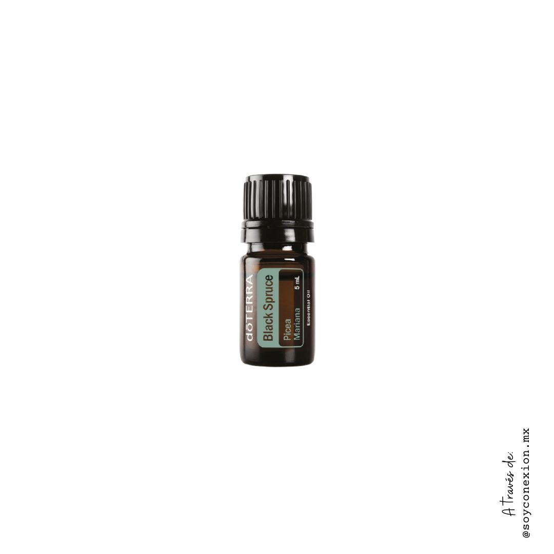 doTERRA, abeto negro, black spruce, aceite esencial, salud respiratoria, repelente, concentración y enfoque