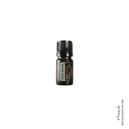 doTERRA, abeto negro, black spruce, aceite esencial, salud respiratoria, repelente, concentración y enfoque