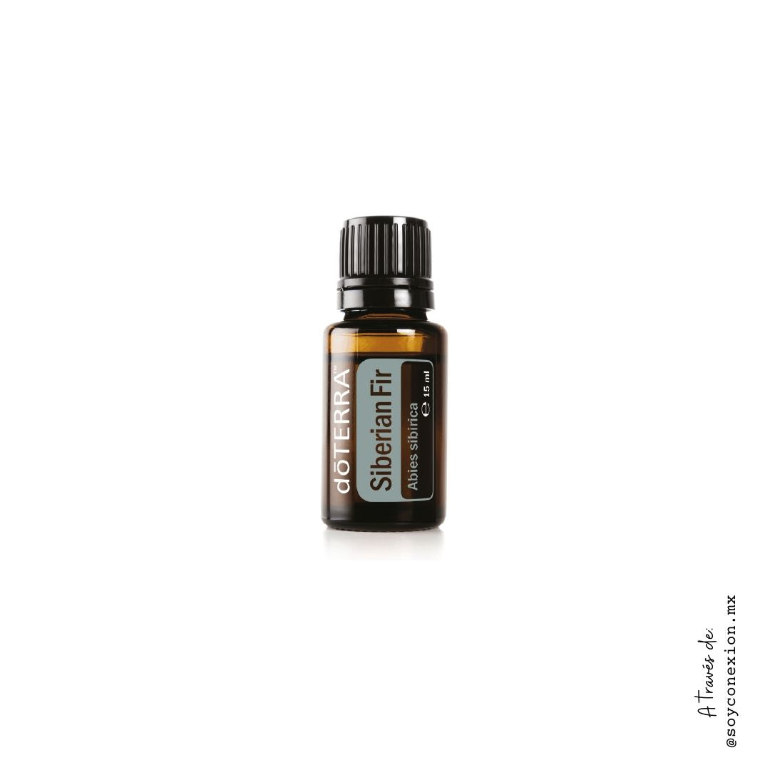  doTERRA, abeto siberiano, siberian fir, aceite esencial, sistema cardiovascular, sistema inmunológico, sistema respiratorio, sistema nervioso.