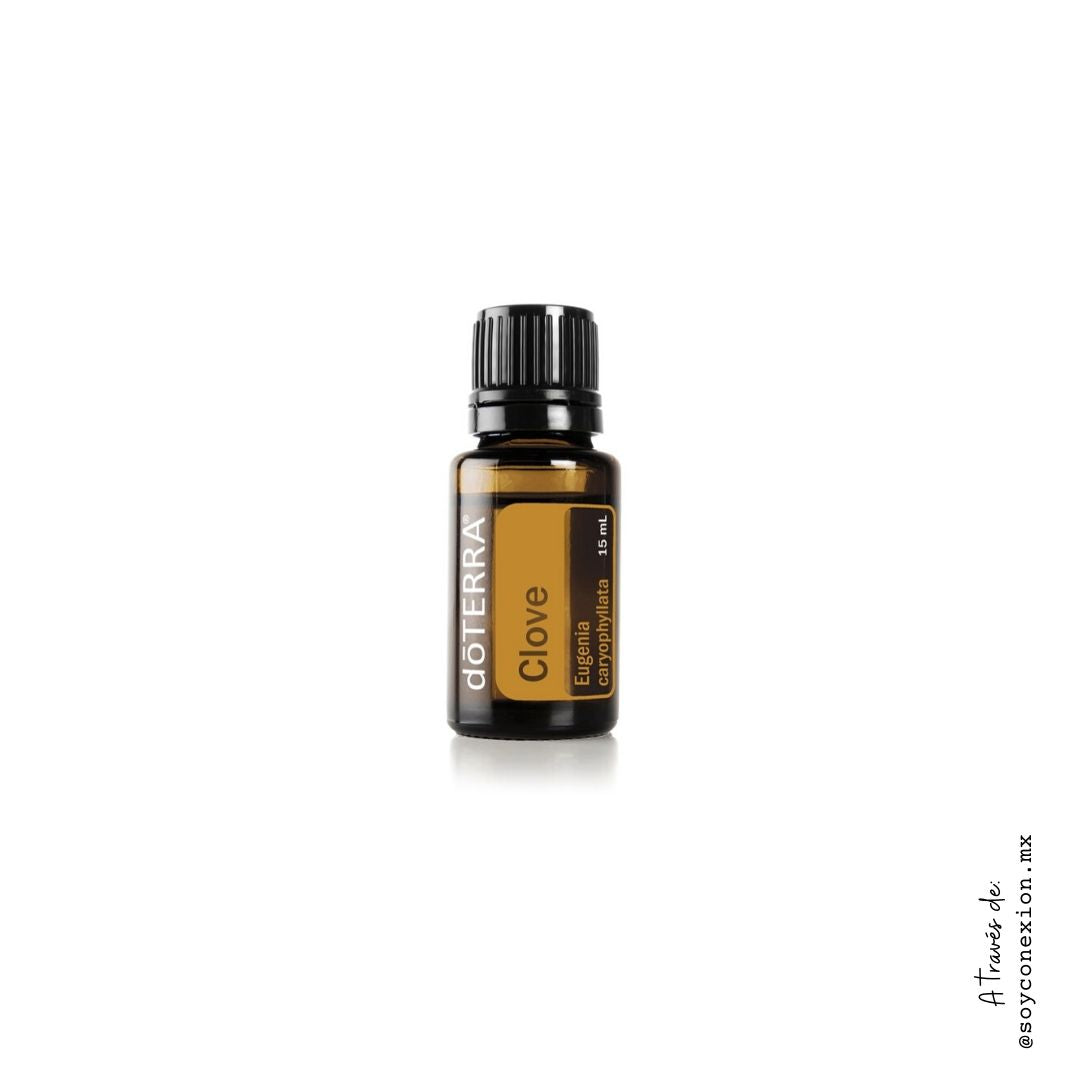 doterra, aceite, clavo, eugenol, estimulante, energizante, antioxidante, desinflamatorio, dolor, dientes, encías, especia.