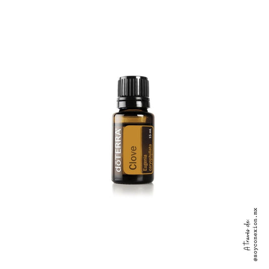 doterra, aceite, clavo, eugenol, estimulante, energizante, antioxidante, desinflamatorio, dolor, dientes, encías, especia.