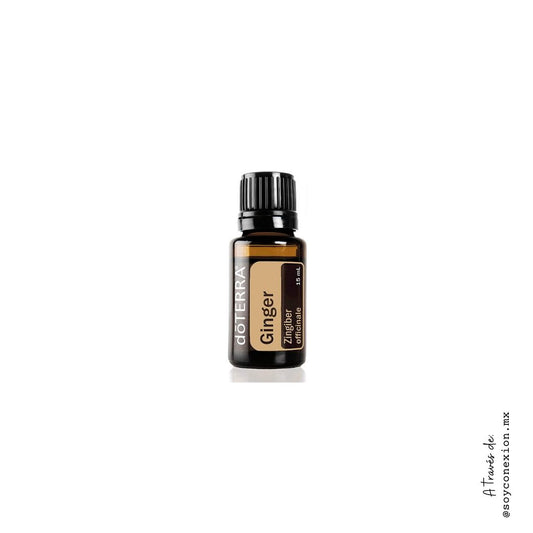 doterra, aceite, Ginger, salud digestiva, indigestión, náuseas, articulaciones, dolor y desinflamación, cocina y especias, control de peso, descongestionante.