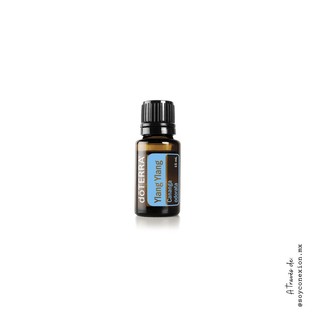 doterra, aceite esencial ylang ylang, piel saludable, perfume codiciado, salud celular, estrés, relajación, presión arterial, sistema circulatorio, apoyo antioxidante, estrés oxidativo, radicales libres.